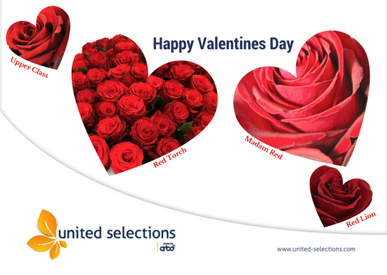 Happy valentines day