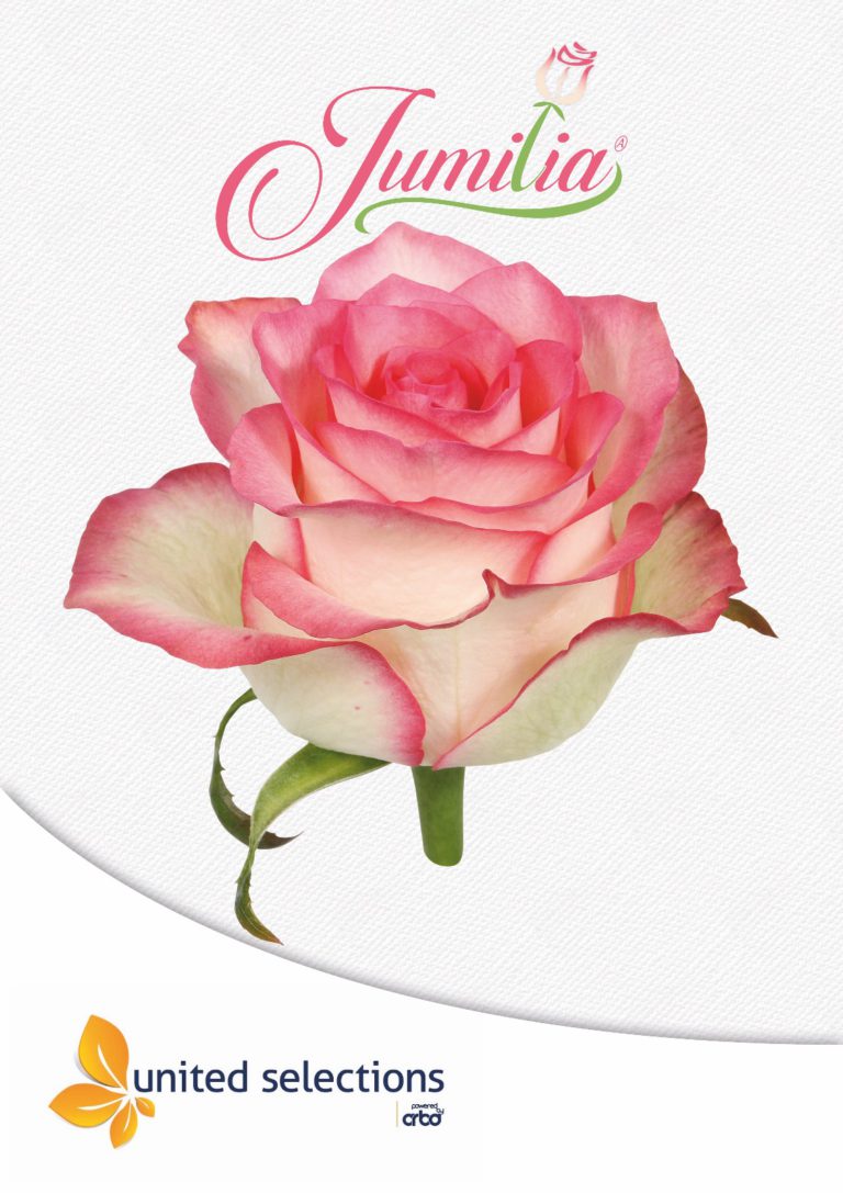 Jumilia poster