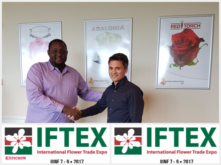 IFTE 2017