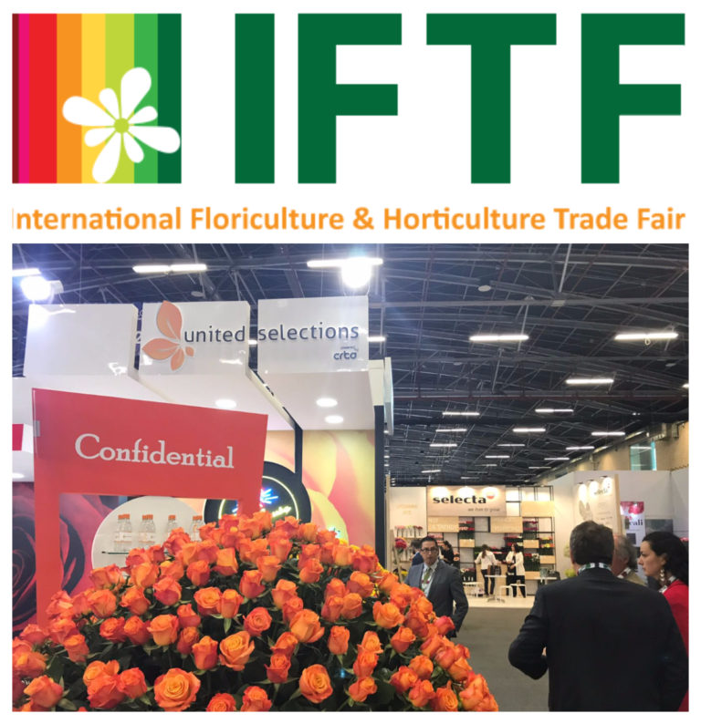 United Selections at IFTF