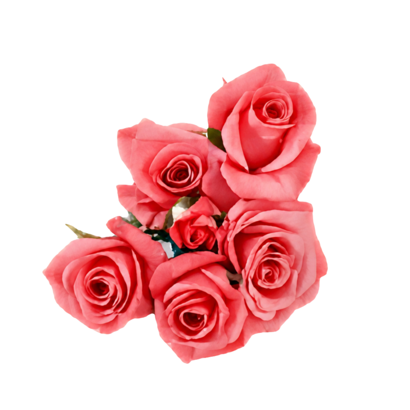 Antonella Blossoms